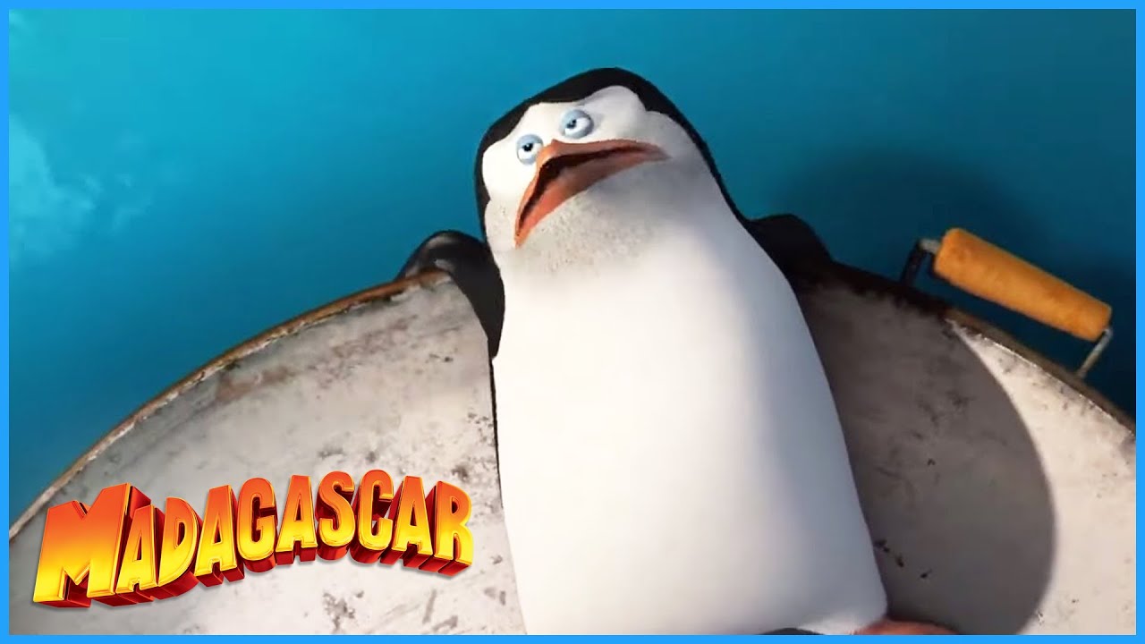 ⁣DreamWorks Madagascar | Cast Adrift | Penguins of Madagascar Clip