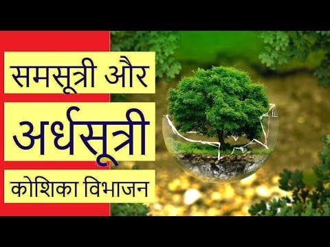 वीडियो: विभाजन विज्ञान की परिभाषा क्या है?