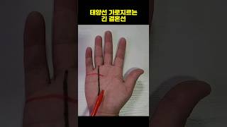 결혼을하면 사회적 지위와 부를 잃는 손금 #손금 #결혼운