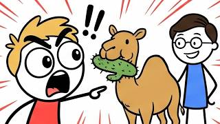 18. Why Camels Can Eat Cactus Like Potato Chips (No, Really)