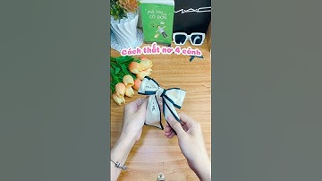 Cách thắt nơ đẹp, đơn giản và dễ ứng dụng #diy #handmade