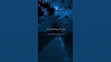 القارئ - سعود الفايز سورة الرحمن .
