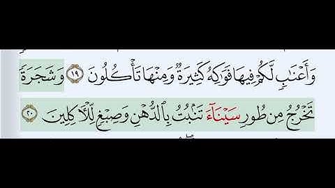 سورة المؤمنون آية 20 @عالَمُتصحيحالتلاوة @Djoudar @منوعاتراقية-م8خ