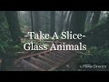 Lyric Video- Take A Slice by Glass Animals