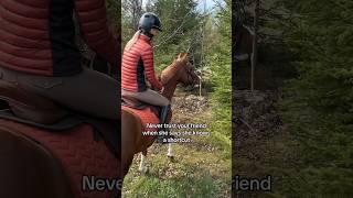 Follow me! 😂#equestrian #horse #horses #pony # #horseriding #fun #memes #horses #horselife