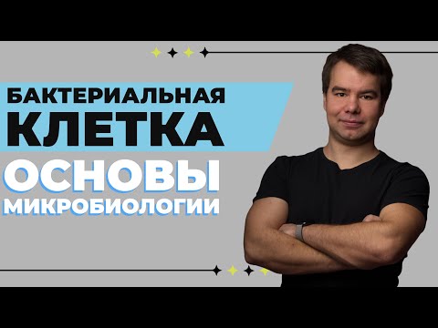 Структура бактериальной клетки