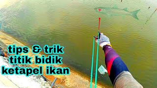 Visir titik bidik ketapel ikan-headsh0t,, Langsung praktek ke ikan di pinggir laut, dapat yg besar²