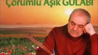 Çorum ellerinin tatlı bülbül  AŞIK GÜLABİ Resimi