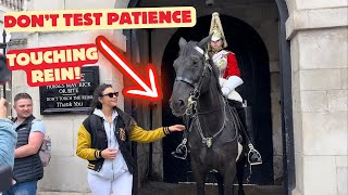 Don't Test the King's Guard's Patience: Foolish Tourist Grabbing The Rein.