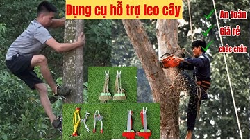 Dụng cụ trèo cây / Móng leo cây an toàn giá rẻ / Guốc trèo cây 2 đinh / combo chỉ còn 249k
