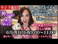 ライブ配信　新しい時代を生き抜く　世の中が変わった大艱難期を生きる　詐欺システム　愛と善意　美しい波動の祈り🙏神からの伝言⚡️
