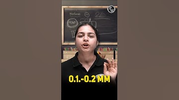 Delhi Mein Cloud Seeding! Artificial Rain! #Shorts #CloudSeeding