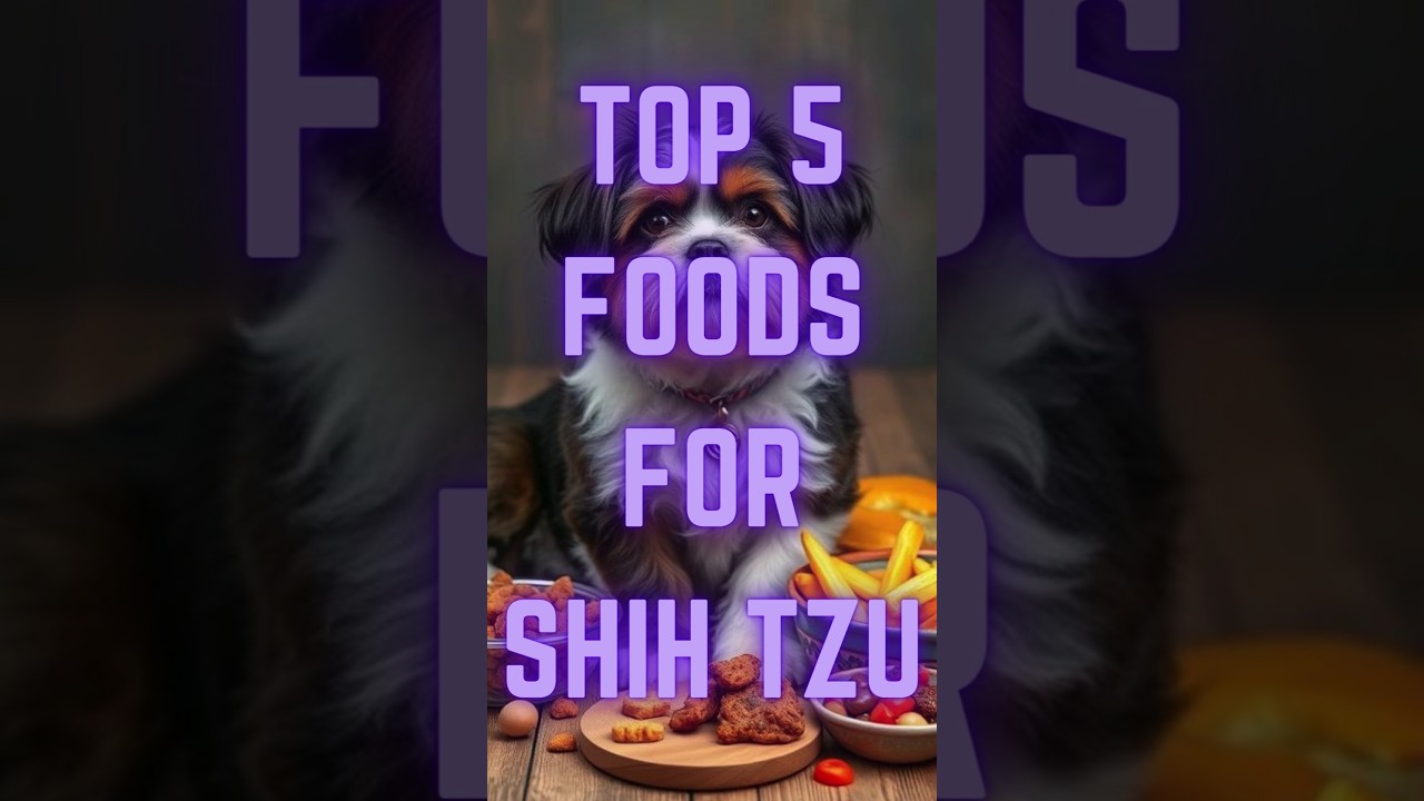 TOP 5 FOODS FOR SHIH TZU🥗🍗 