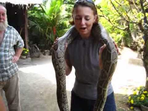 Holding a python on my neck