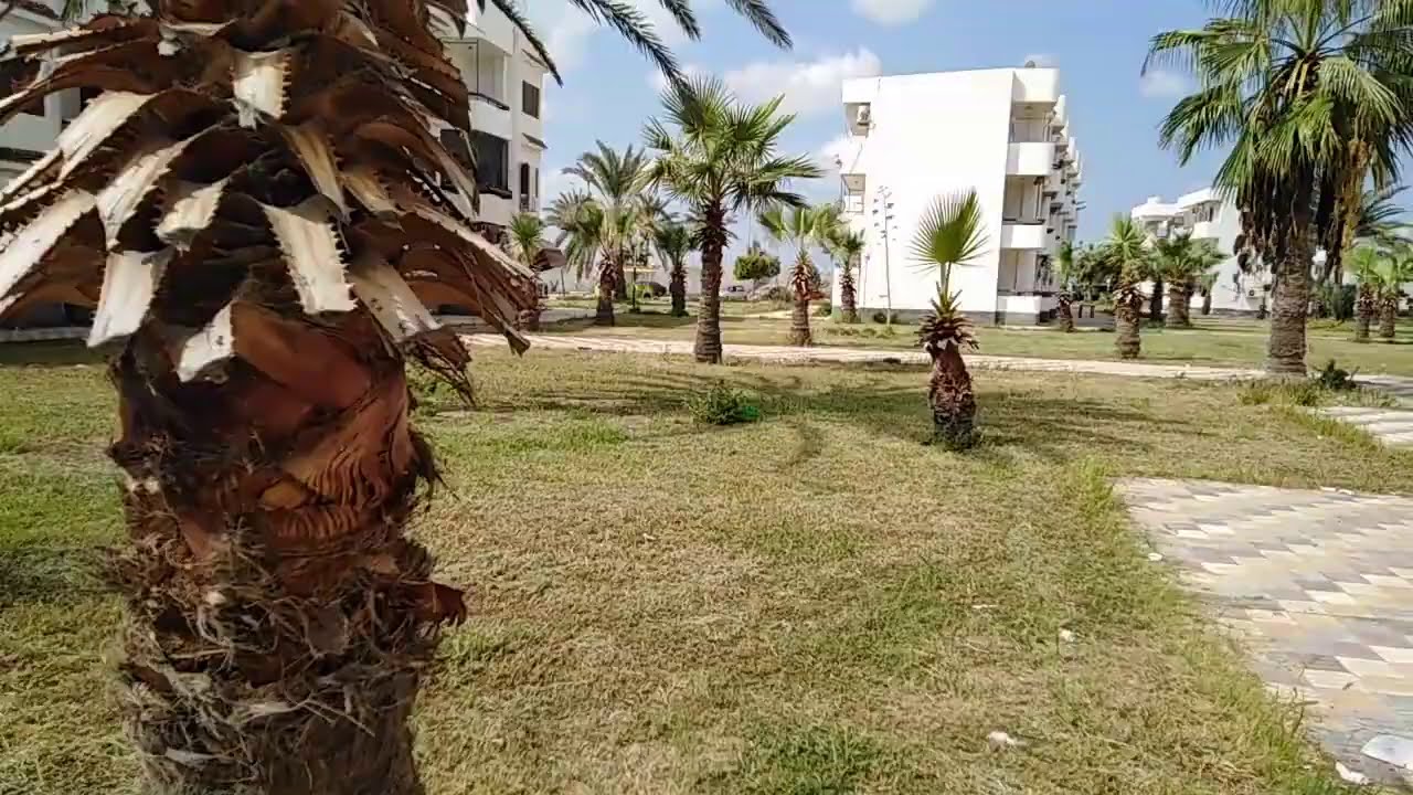 جولة فى قرية الفردوس ببورسعيد  ---- الجزء التانى