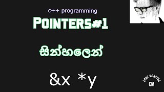 Pointers in c/c++ sinhala#1-c++/c programming