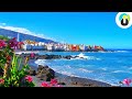 TENERIFFA Urlaub Tipps 🌴 Reisetipps für die wunderschöne Insel Teneriffa | Guru on Tour