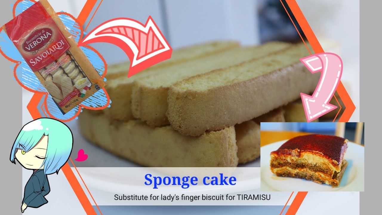 Sponge cake Substitute for Lady's finger for tiramisu Must try