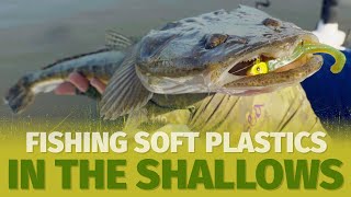 How to Catch Flathead and Bream on Soft Plastics  Shallow Water Finesse Fishing