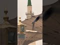 Fida EЁЯШнЁЯШн Naqsh E Nalenat ЁЯе ЁЯе ЁЯТХ MSQPresent Fida EЁЯШнЁЯШн Naqsh E Nalenat ЁЯе ЁЯе ЁЯТХ MSQPresent
