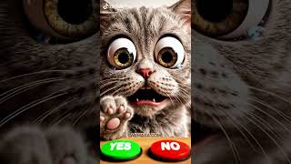 Asking You To Forgive Me Yes No?