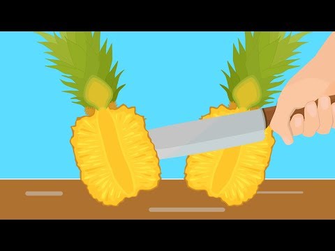 TAM İKİYE BÖL – En Eğlenceli Kapışma