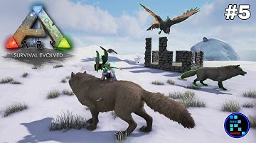 ARK: SURVIVAL EVOLVED #5 | TAMING HIGH LEVEL DIREWOLFS