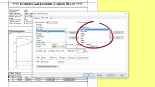 LabSolutions LC/GC WorkStation: Basic Single Data Reporting screenshot 3