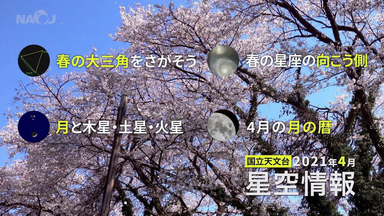 東京の星空 カレンダー 惑星 21年4月 国立天文台 Naoj