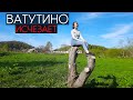 Село Ватутино. Вымирающая деревня. НЕИЗВЕДАННЫЙ САХАЛИН #3