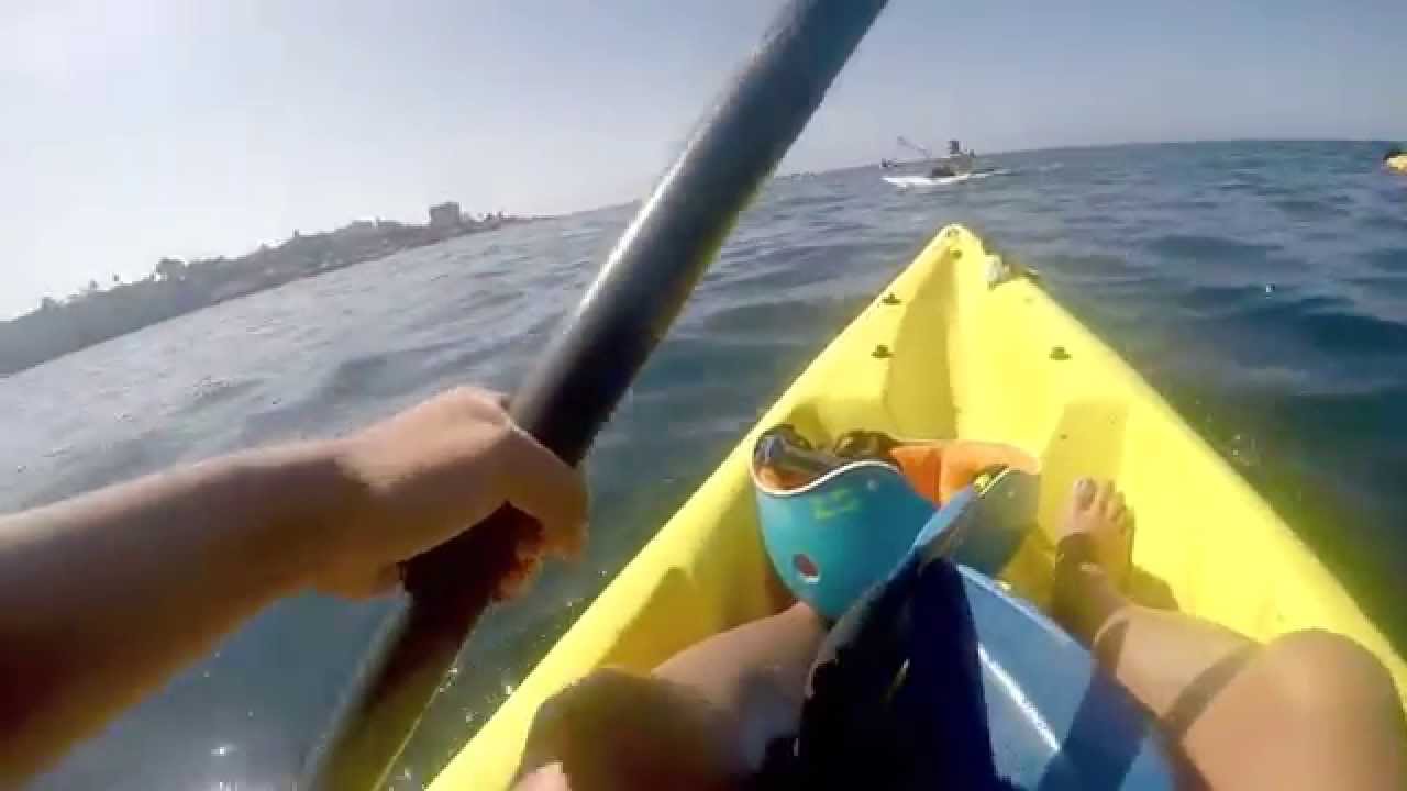 Kayak and Snorkel La Jolla Shores YouTube