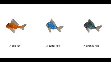 Texture: Text to 3D textures