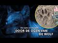 136 DOOR DE OGEN VAN DE WOLF The Eyes Of The Wolf