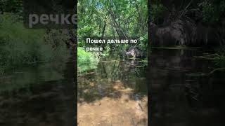#средневековье #природа #властелинтьмы #гномы #лето #рыцари #юмор #тикток #таро #мем