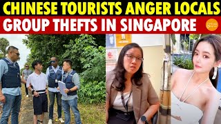 Chinese Tourists Anger Locals: Group Thefts in Singapore, Brawls on Cruises, Insulting Medical Staff Wealth