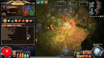 Patch 2.0 Bog Map Boss Guide lvl 72 - Path Of Exile