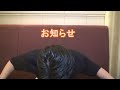 フランス料理研究家 酒井シェフからのお知らせ