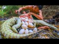 They Opened a Crocodile and You Won&#39;t Believe What They Found