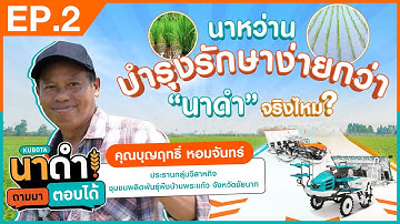 นาดำ ถามมา ตอบได้! EP.2 | นาหว่าน บำรุงรักษาง่ายกว่านาดำจริงไหม?