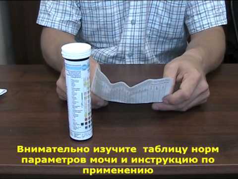 Анализ мочи за 1 минуту в домашних условиях