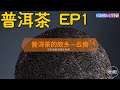 了解普洱茶EP1：为什么云南成了普洱茶的故乡