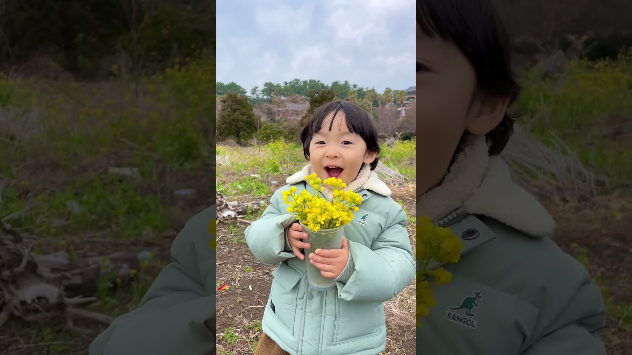 봄에게 뽀뽀🌼💛 #shorts #baby #육아브이로그 #감따남