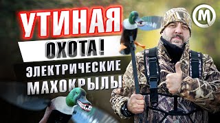 Утиная охота! Электрические махокрылы