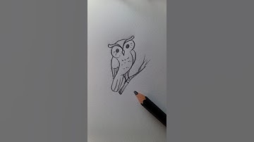 The REAL Way to Draw Owls 🦉✨ #foryou #drawing #art #sketch #howtodraw #easydrawing #tutorial #sketch