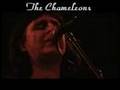 The Chameleons - Intrigue in Tangiers (live)