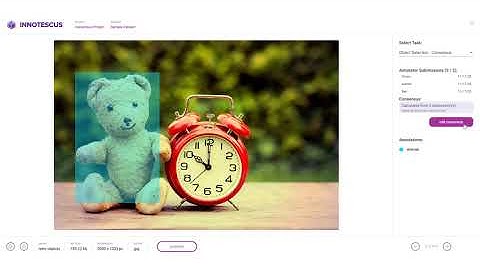 Consensus and annotation review - Innotescus