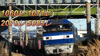 2020/02/01 JR貨物 鷲津界隈午前7時台の貨物列車4本 2078レにEF210-111号機牽引