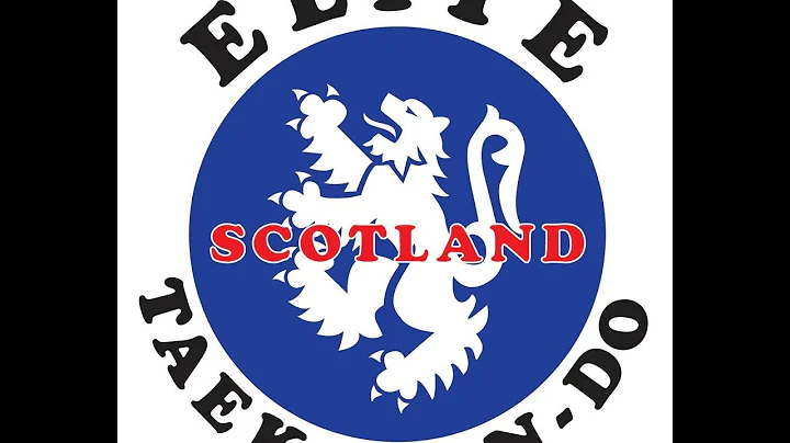 Elite Taekwon Do:  Sparring with Mr Stuart Dutton