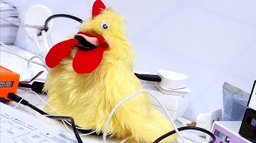 Tweeting Chicken - PiFace interface for Raspberry Pi