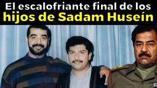 EL ESCALOFRIANTE FINAL de los hijos de Sadam Huseín